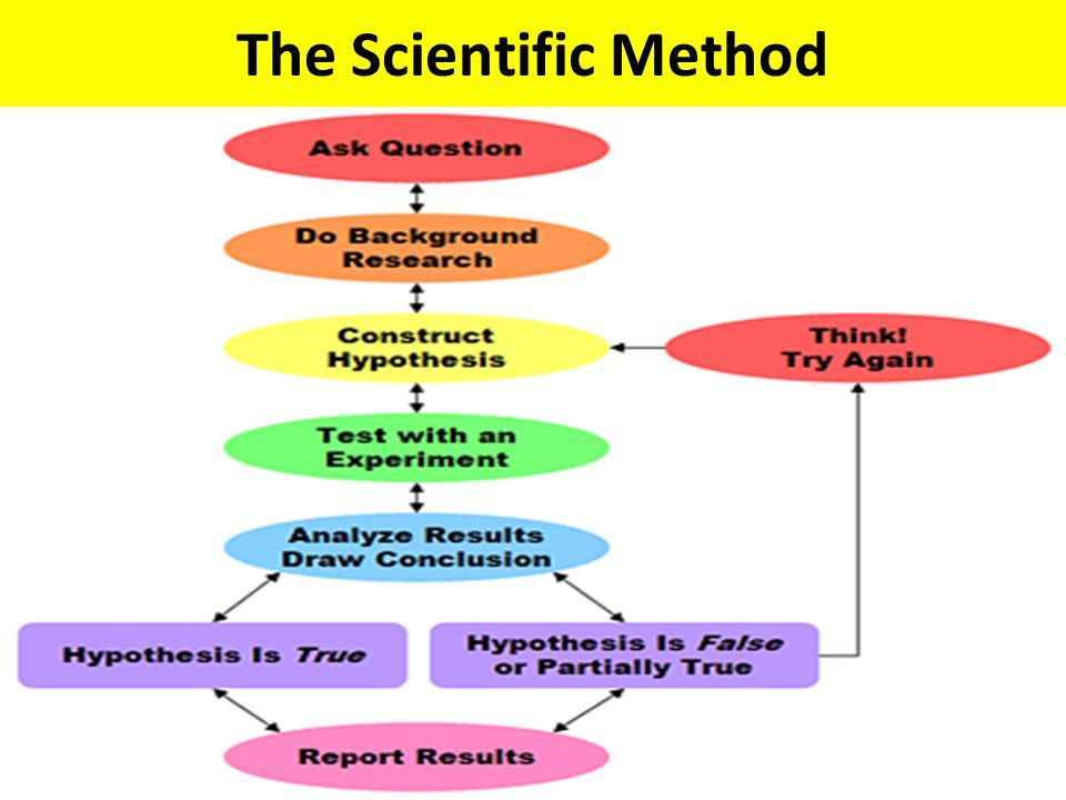 Management science method